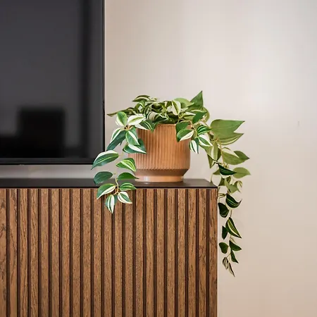 Moderno Con Terrazza & Palestra Apartman *